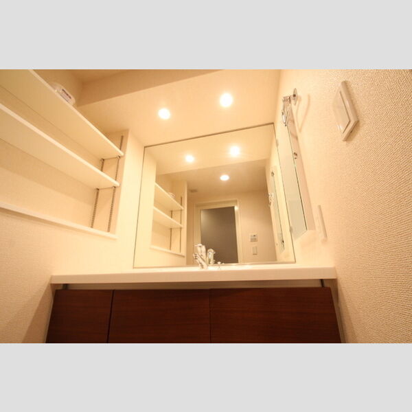 レーベンリヴァーレクロス東京 洗面