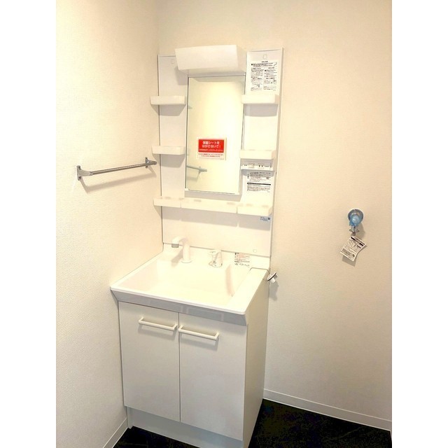 ペイサージュ101号室 洗面台