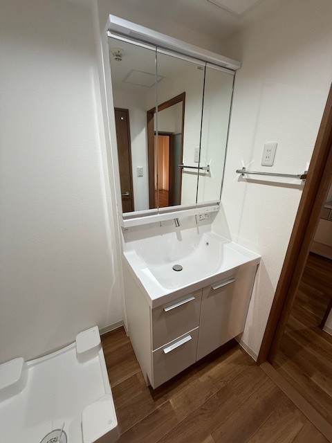 ルミナス藤 洗面