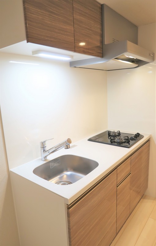 ロイジェント大山西町2階 キッチン