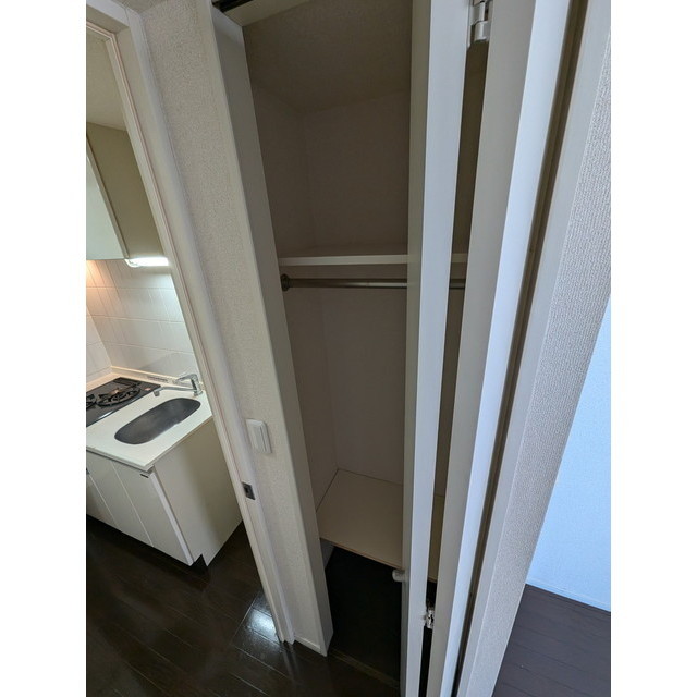 ヴェルステージ川崎 洋室クローゼット