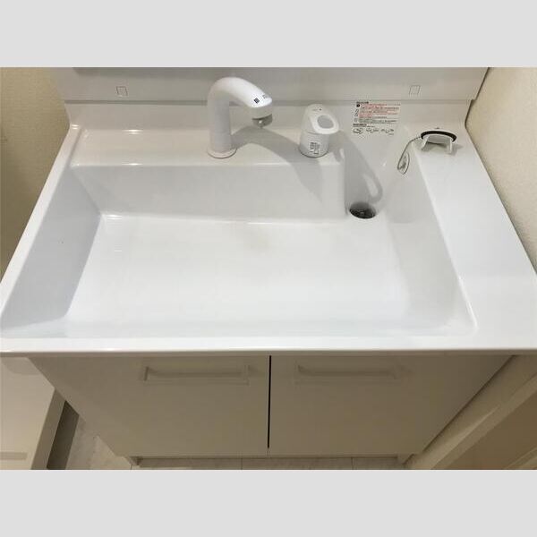 リーブルファイン吉祥寺 洗面