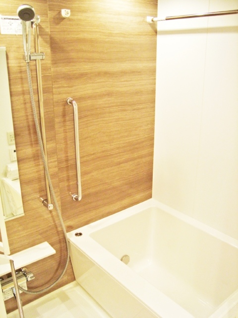 イニシアイオ芝公園202号室 お風呂