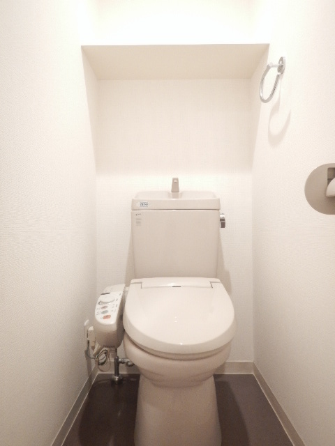 グランド・ガーラ銀座10階 落ち着いた色調のトイレです