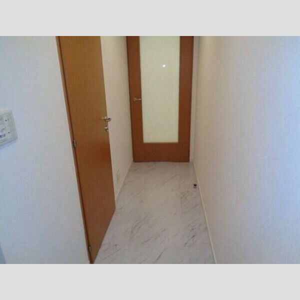 カスタリア銀座Ⅲ0703号室 部屋その他