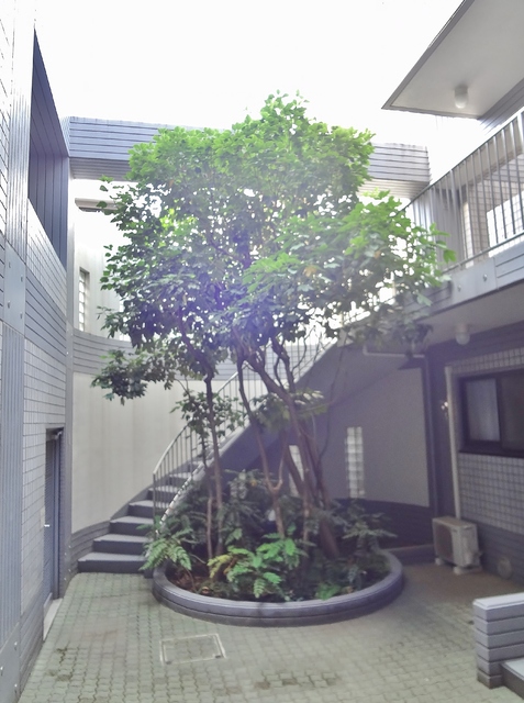 アクタアワーズレジデンス富士見台0206号室 中庭