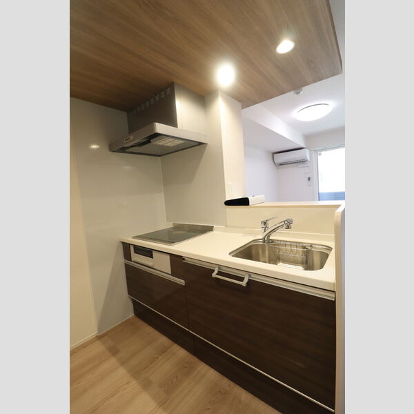 D-ROOM 分梅102号室 キッチン