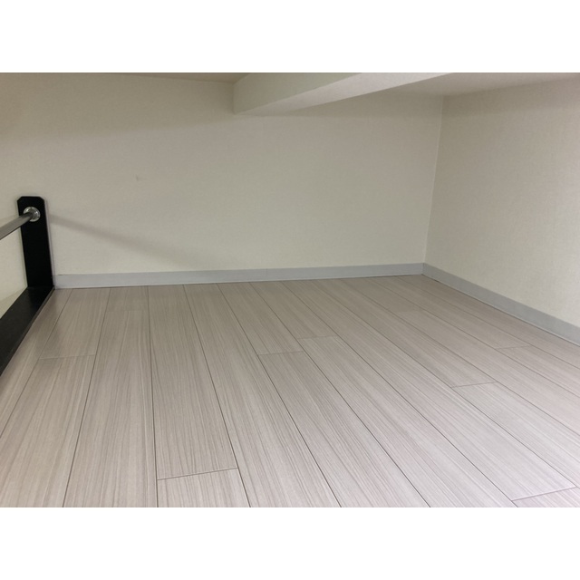 プラザ・ドゥ・アヴァン106号室 内観