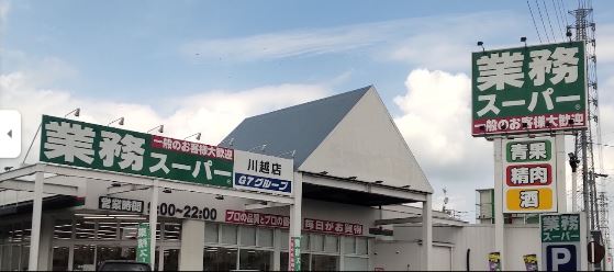 レオパレスつばさ 周辺