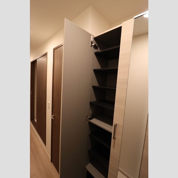 セレスティア白鳥209号室 玄関収納(中)