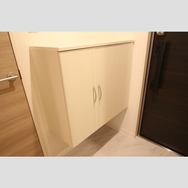 セレスティア扇Ⅱ201号室 玄関