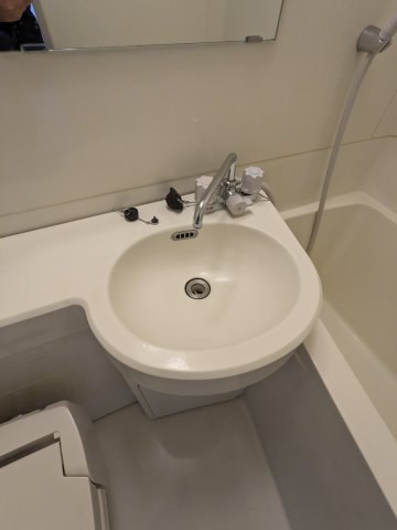 アレックス日乃本 洗面