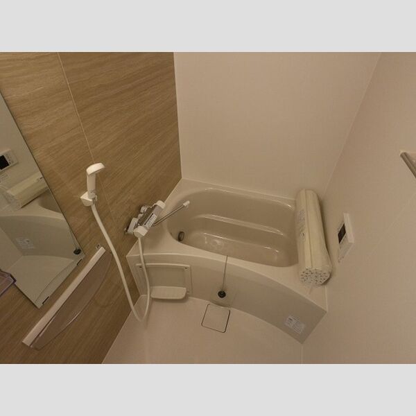 エメ　ドゥーズ301号室 バスルーム