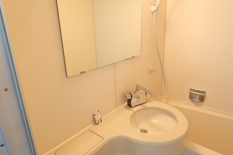 ドミトリー原町田10階 洗面