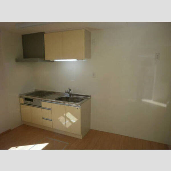 フェルミエ 3口IHシステムキッチン