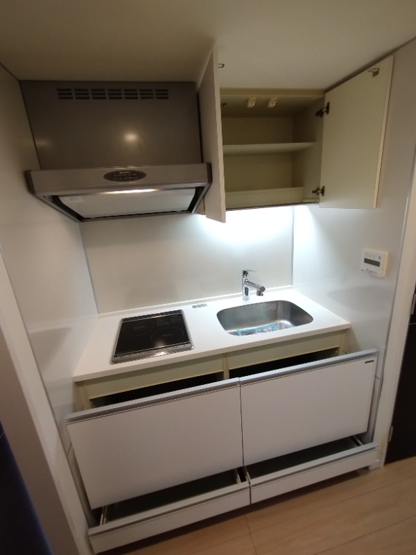 日神デュオステージ蓮根 キッチン