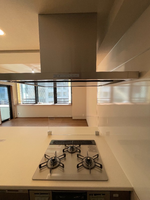  SELENE御殿山5階 キッチン