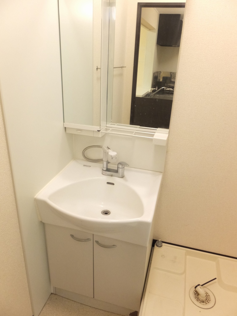 レオネクスト北鴻巣 周辺