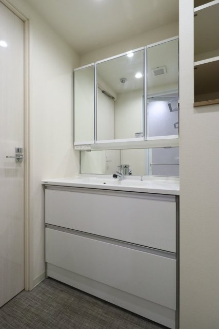 ラ・フォルム神楽坂 洗面