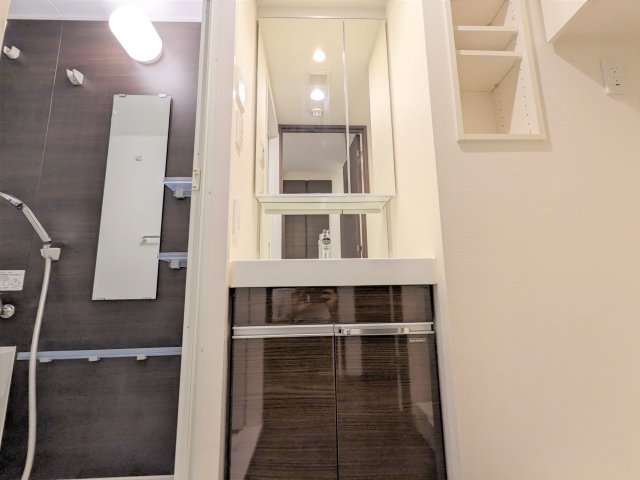 ケーディーエックスレジデンス豊洲427号室 洗面