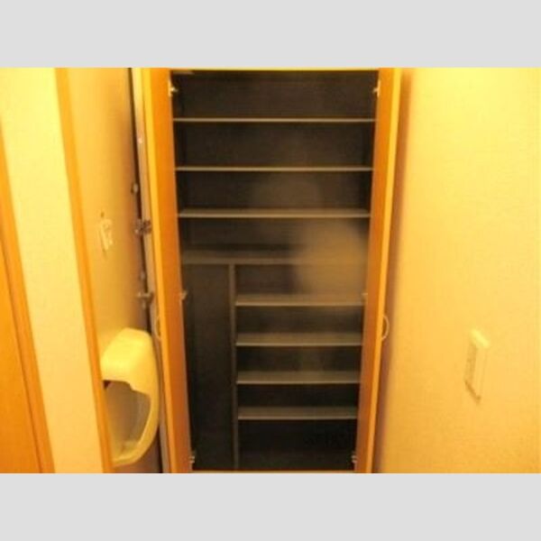 Carinopensee102号室 シューズボックス