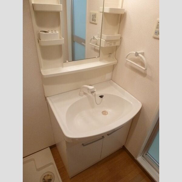 エミナンス丸山台203号室 洗髪洗面化粧台