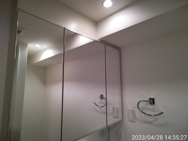 プレシス東神田 洗面