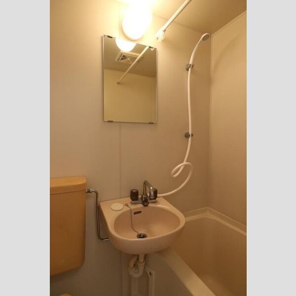 グリーンプラザ　B208号室 洗面台