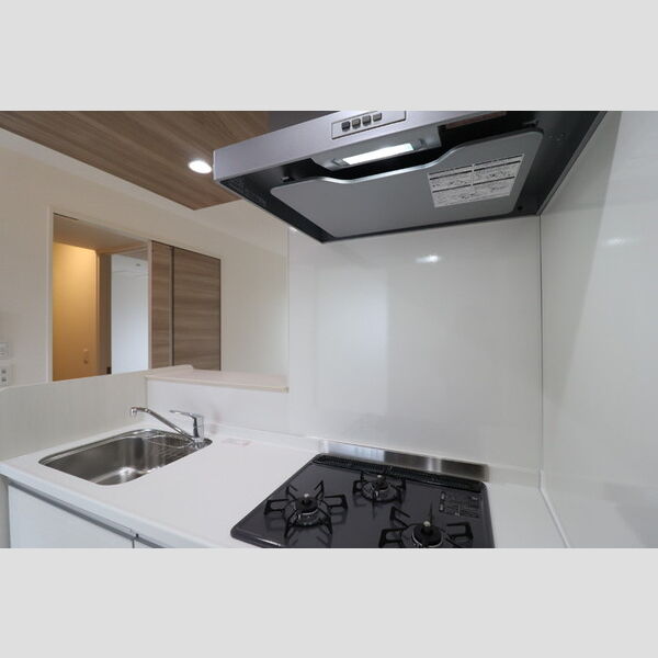 セレスティア東四つ木Ⅱ302号室 システムキッチン