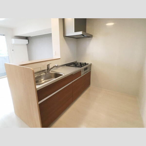 ロイジェントパークス レイクタウン Ⅱ　G203号室 キッチン