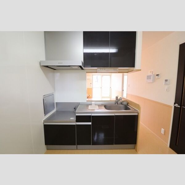 スカイコート102号室 対面キッチン