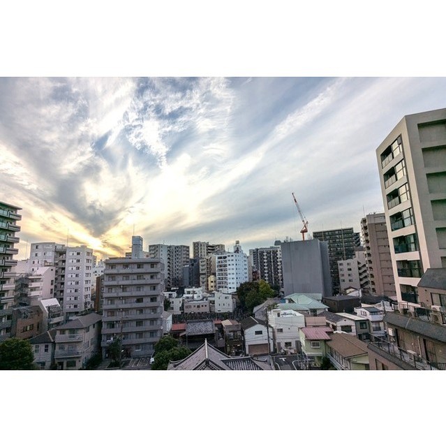 ザ・パークハビオ入谷1406号室 同建物別部屋の参考画像