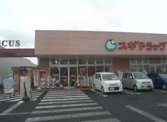 ディスティーノ スギドラッグ野田つつみ野店まで782ｍ