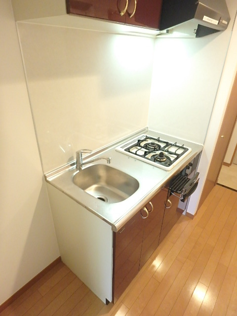 ガラ・グランディ練馬2階 コンパクトなキッチンで掃除もラクラク