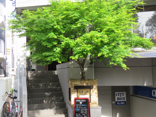 タウンシップ池上402号室 外観