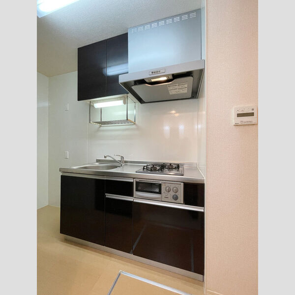 Polaris(ポラリス)102号室 システムキッチン