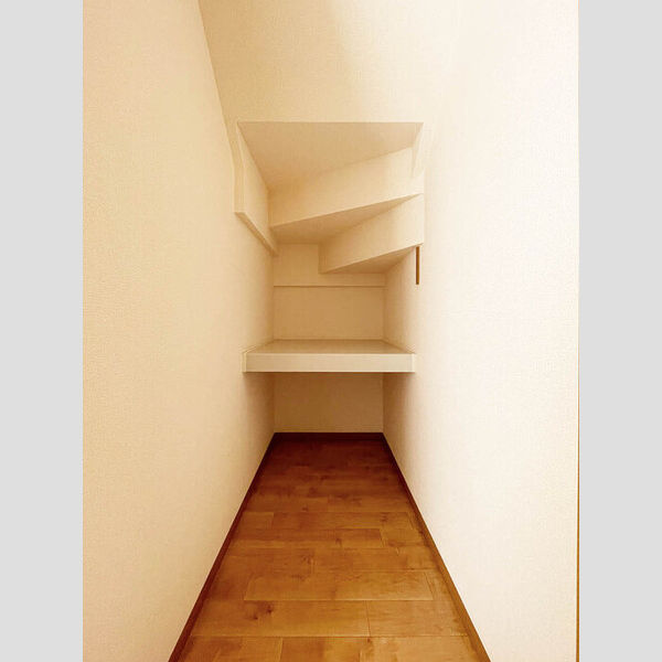 星野貸家　C/E/FF号室 階段下収納