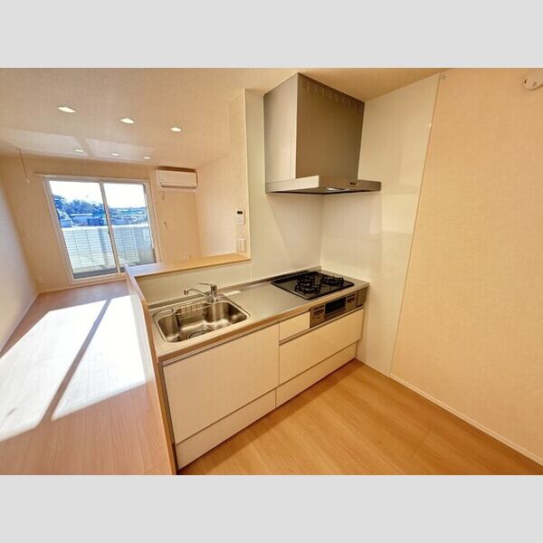 プランドール・さくら203号室 システムキッチン