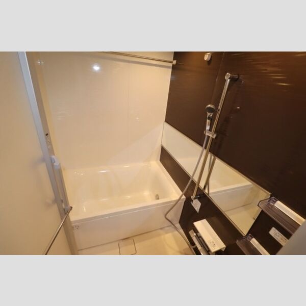 サンジョイアゼロ511号室 浴室