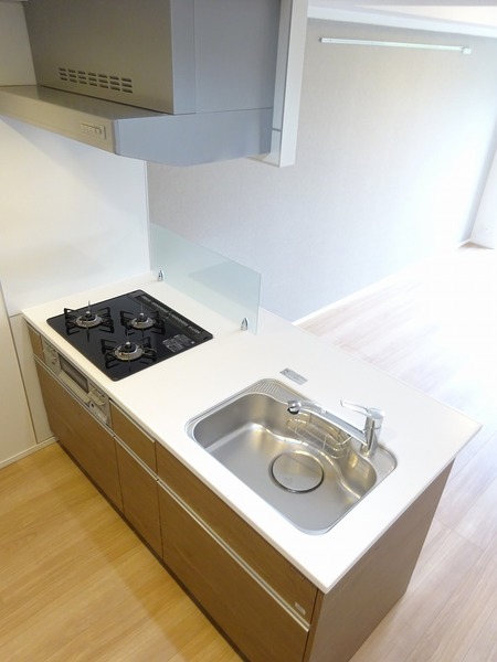 ラフィスタ蒲田南Ⅱ202号室 キッチン