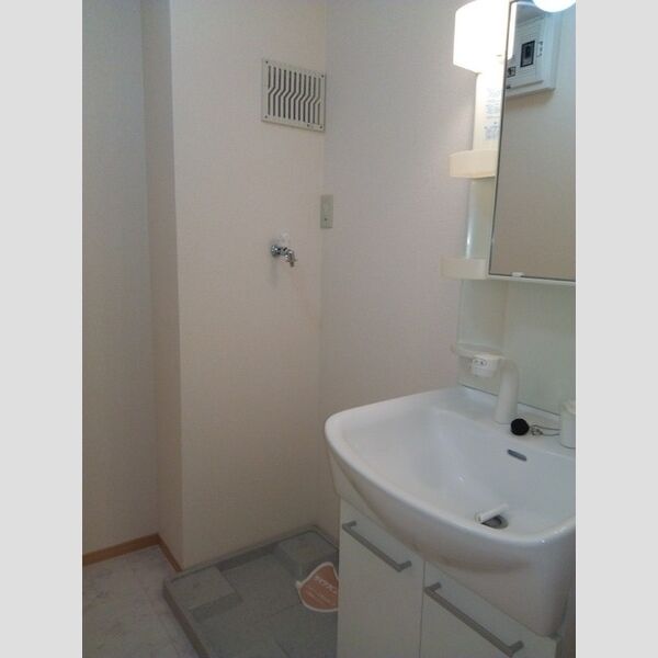 セジュールZEN　参番館207号室 洗面所