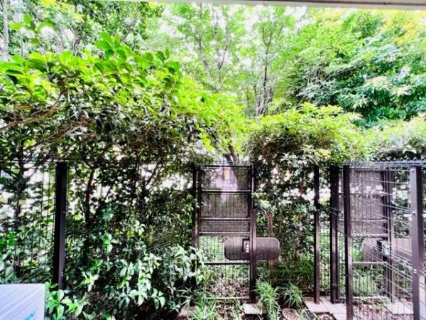 Ｂｒｉｌｌｉａ　ｉｓｔ　三軒茶屋　アイビーテラス1階 部屋その他