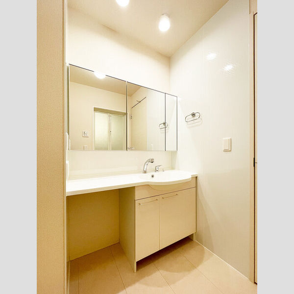 P.O.M 分倍河原101号室 洗面