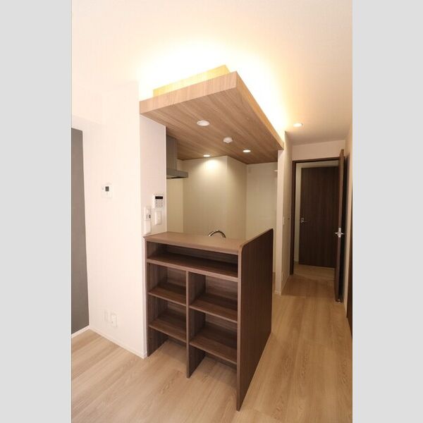 Noble villa鹿手袋　B201号室 キッチン　カウンター