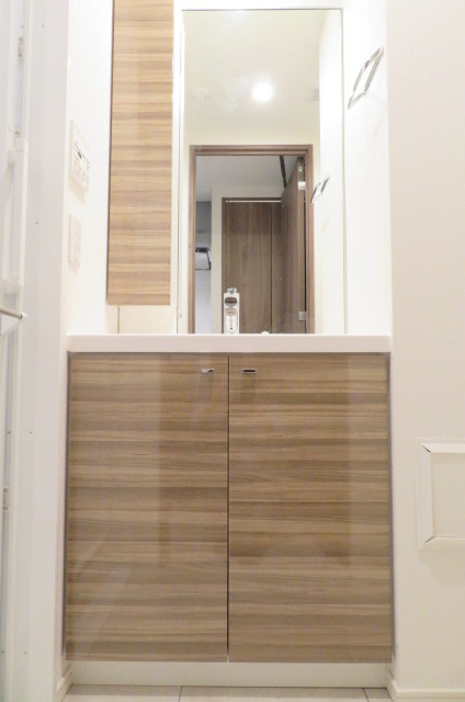 ガーラ・プレシャス赤坂見附 ハンドシャワー付き独立洗面台