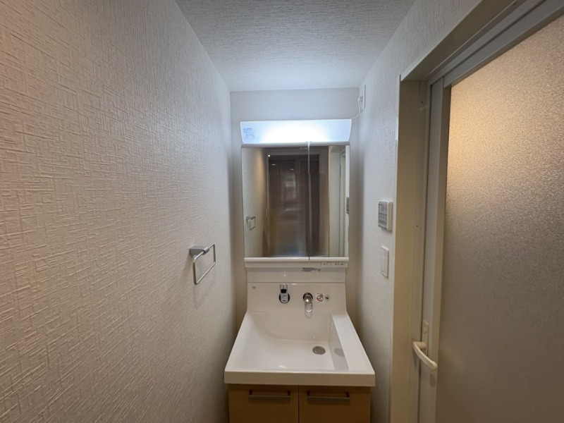 DIPS墨田EASTⅡ2階 洗面