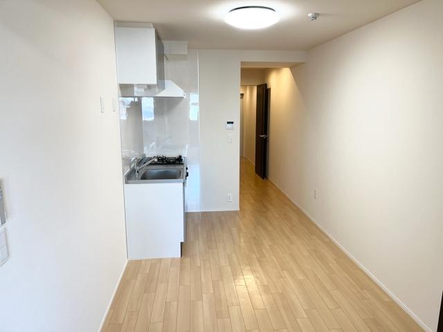 ジョリーメゾン（Ｊｏｌｉｅ　Ｍａｉｓｏｎ）303号室 リビング