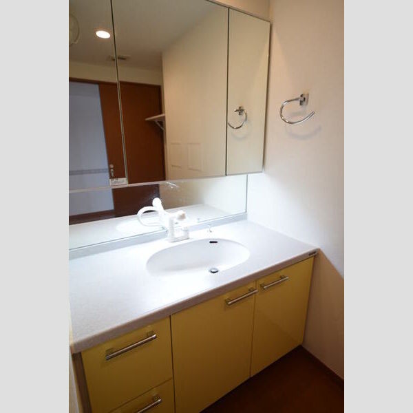 ロイヤルパークス西新井0509号室 洗面台