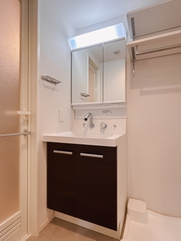 アイル グランデ川口310号室 洗面