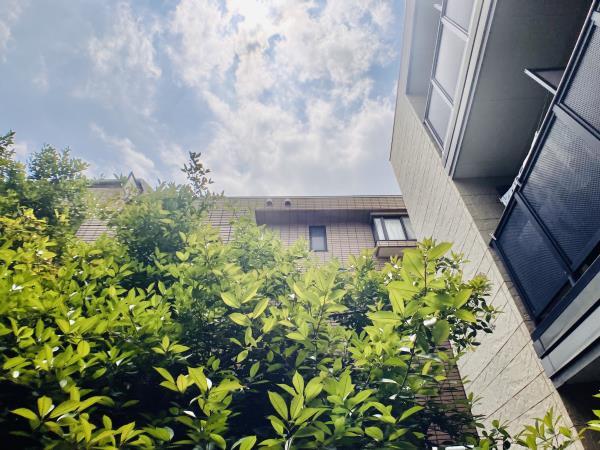 セレ渋谷本町1階 部屋その他